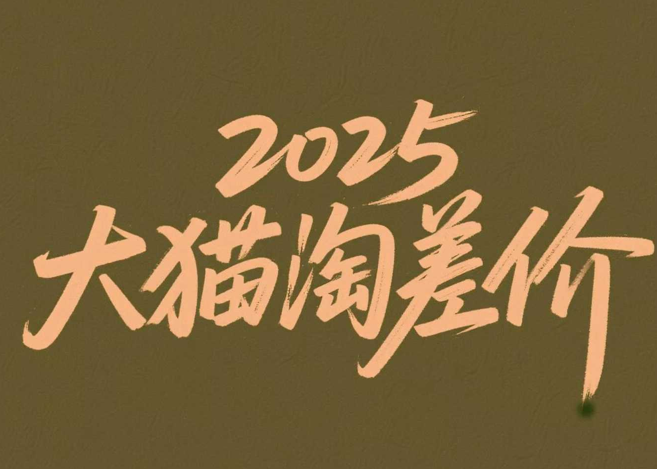 2025版大猫淘差价课程无货源电商2025年12月15日(价值3980元)