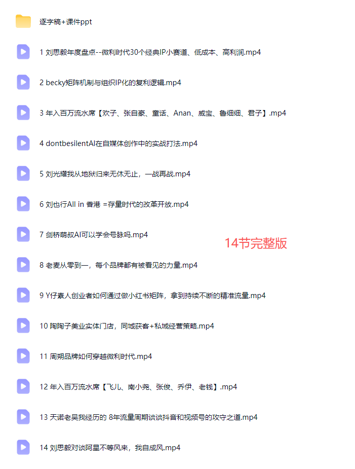 群响陈晶天诺老吴-2025ip嘉年华万人12月14日深圳线下课14节完整