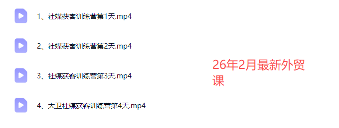 大卫老师-外贸社媒获客独家训练营2026年2月份(价值2980元)
