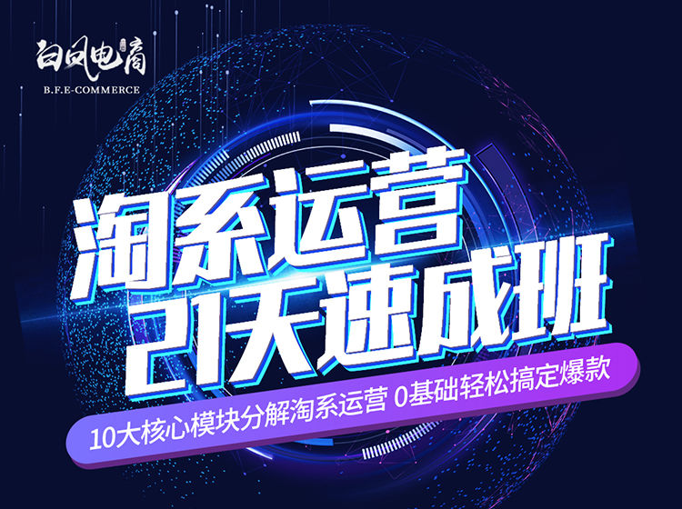 白凤电商-淘系运营21天速成班2026年3月更新(价值4999元)